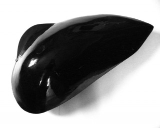 Krzysztof Franaszek, Black mussel