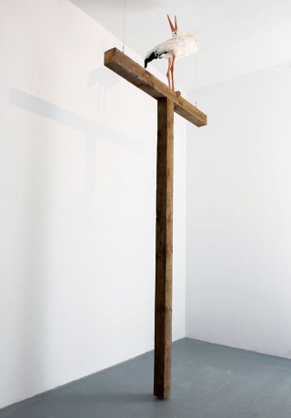 Krzysztof Franaszek, Polish cross