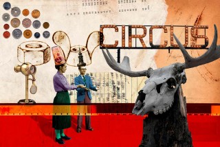 Mauricio Planel Rossiello, Circus
