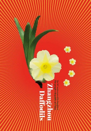 Alejandro Rivera-Plata, Zhangzhou Daffodils