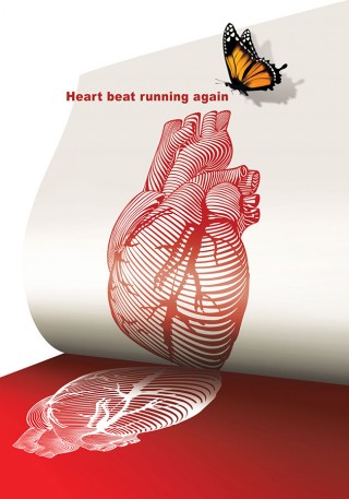 Christopher Han, Donation – Heart beat running again