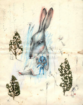 Natalie Pudalov, Rabbit