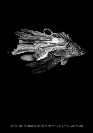 Scott Laserow, Plastic Fish (Sea)